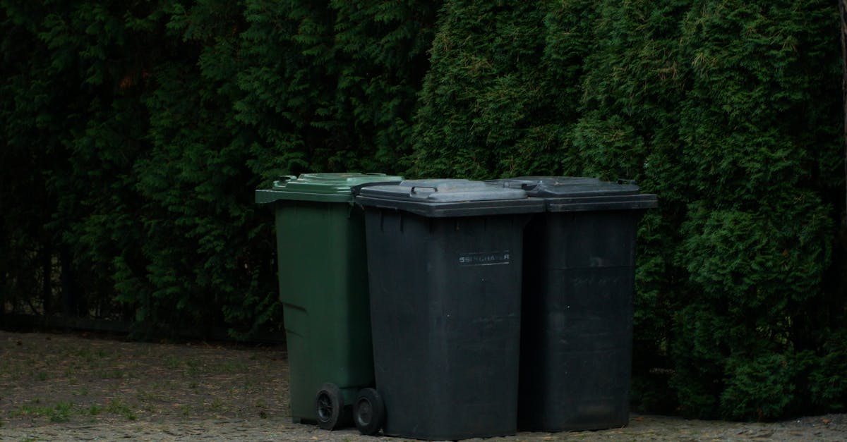 Advantages of Hiring a Skip Bin for Commercial Projects