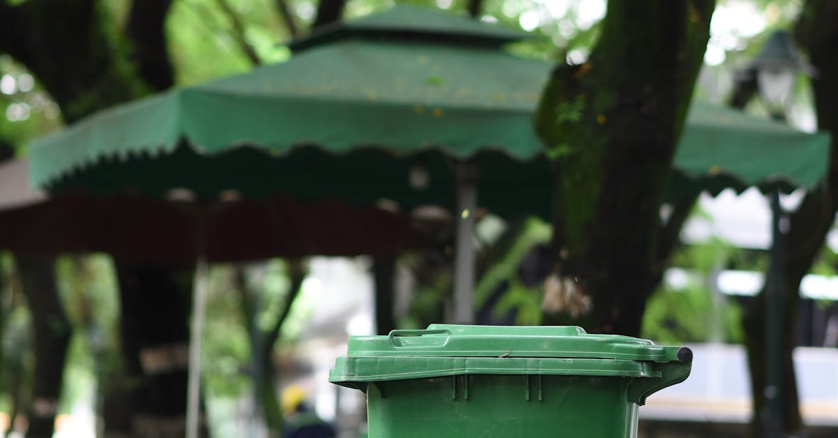 Benefits of Eco-Friendly Skip Bin Services for Local Residents