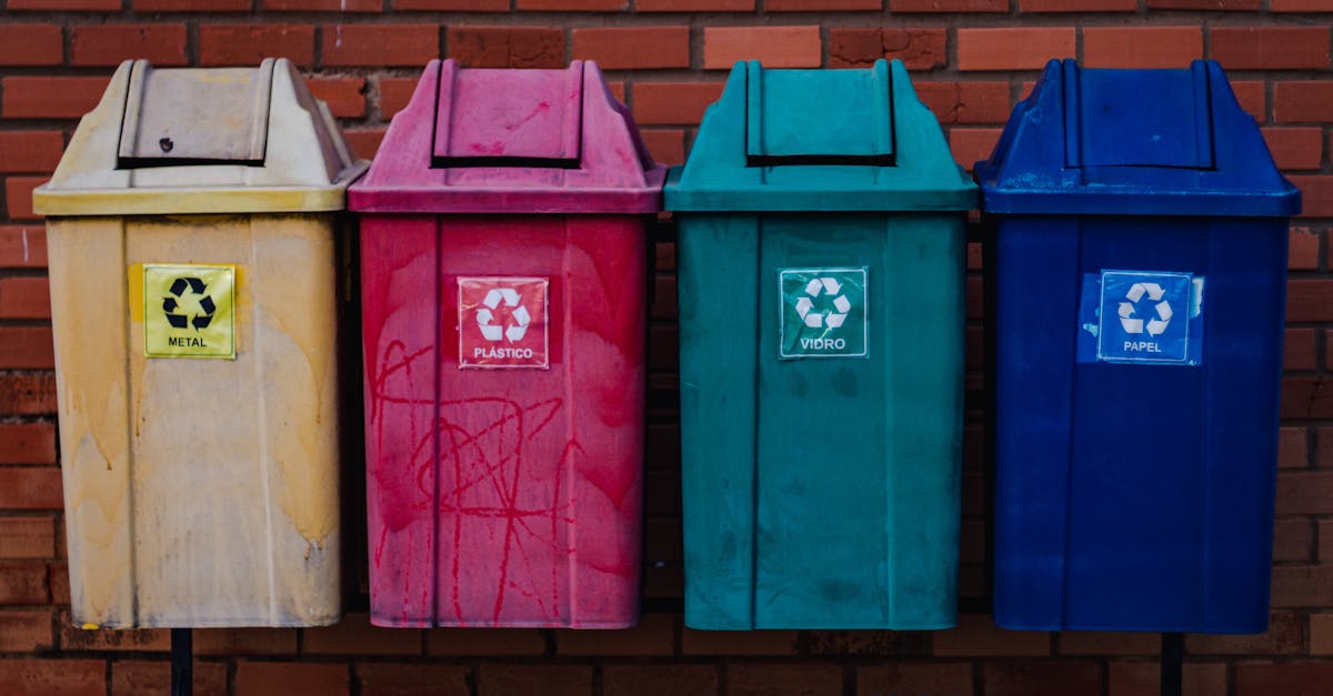 Comparing Medium Skip Bins and Large Skip Bins for Household Waste