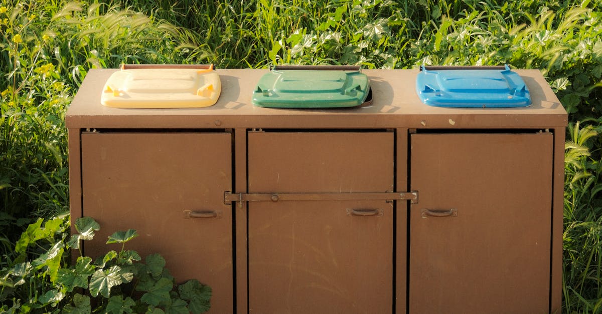 Eco-Friendly Options for Mini Skip Bin Disposal in Liverpool