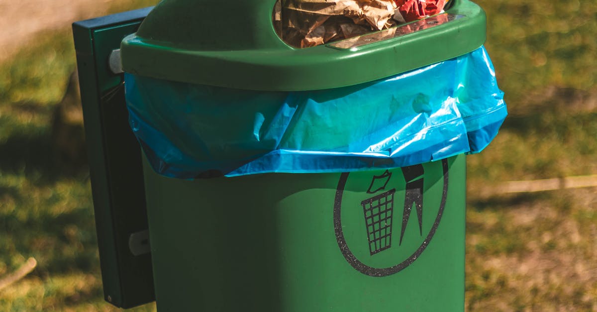 How to Ensure Your Skip Bin Hire is Environmentally Friendly