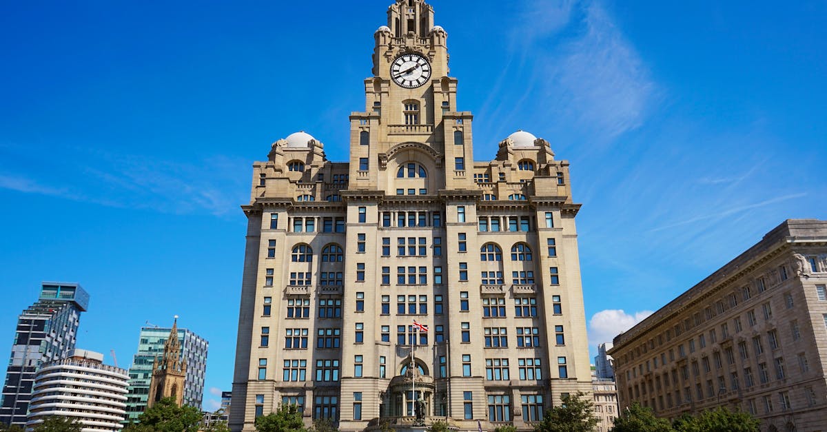 Innovations in Eco-Friendly Skip Bin Technology