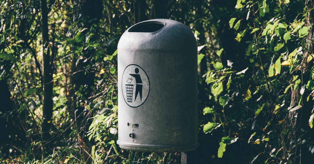 Safety Tips for Using Large Skip Bins at Home