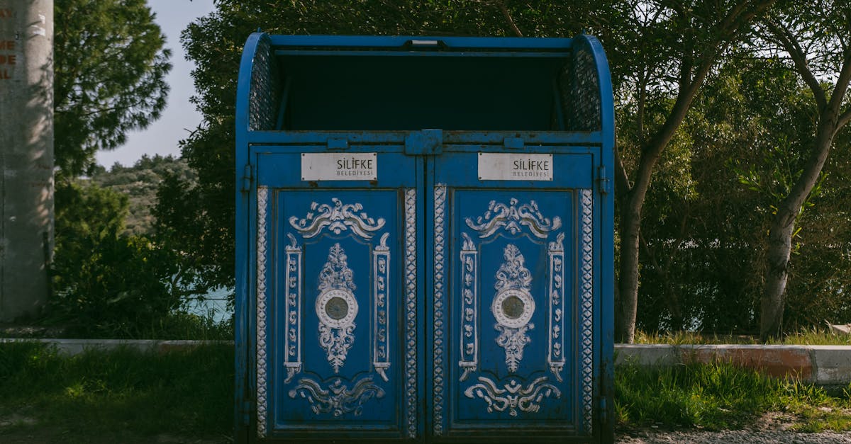 The Importance of Mini Skip Bins for Efficient Waste Removal