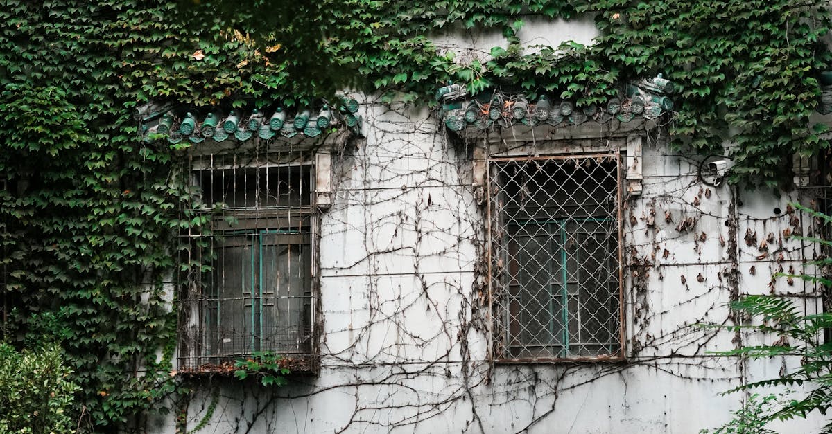 Understanding the Importance of Household Recycling in Urban Areas